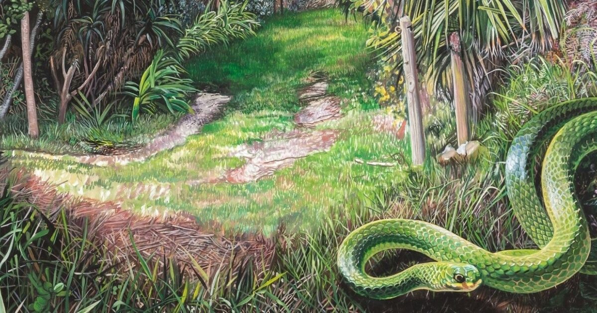 Deborah Poynton - Drents Museum